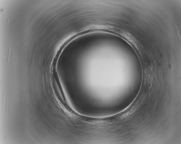 X0000060741127200511171050