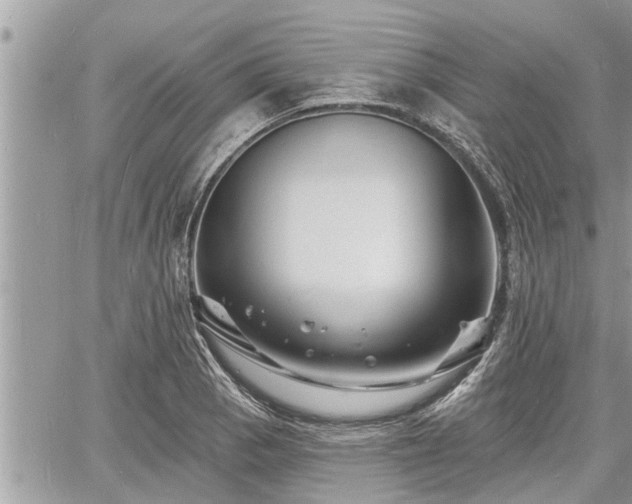 X0000060741129200511171050