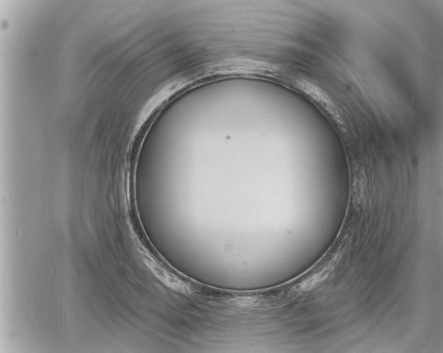 X0000060741130200511171050