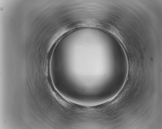 X0000060741131200511171050