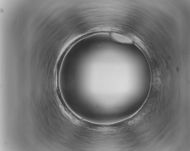 X0000060741132200511171050