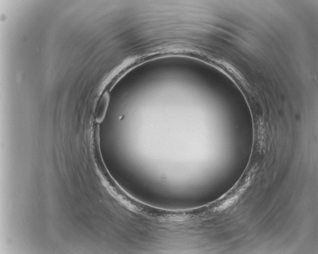 X0000060741134200511171050