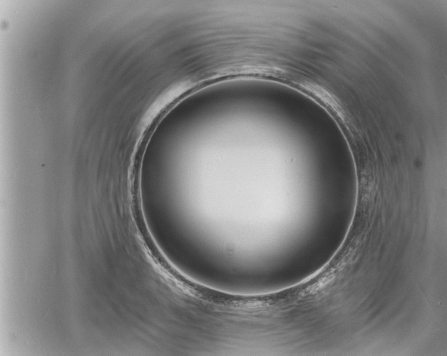 X0000060741135200511171050