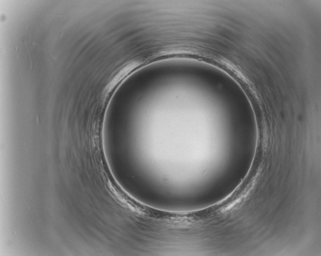 X0000060741137200511171050