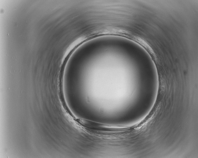 X0000060741138200511171050