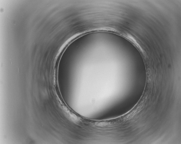 X0000060741140200511171050