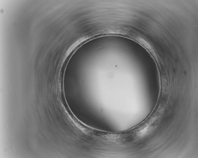 X0000060741141200511171050