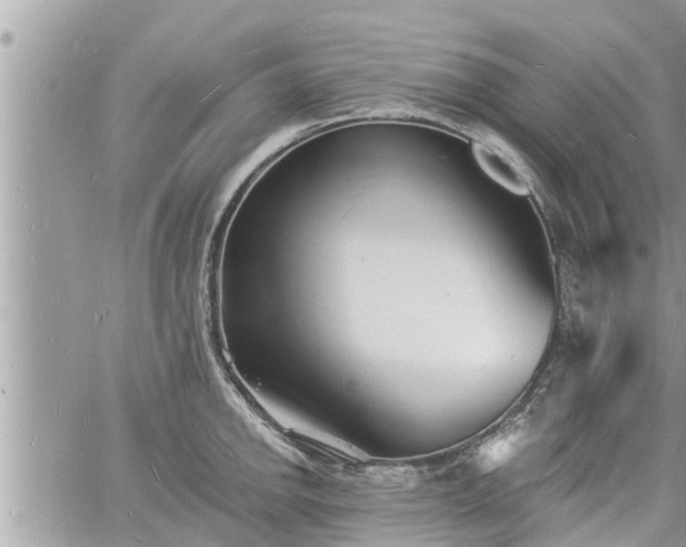 X0000060741142200511171050