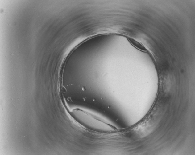 X0000060741143200511171050