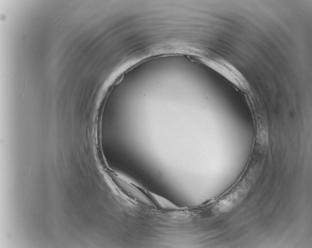 X0000060741144200511171050