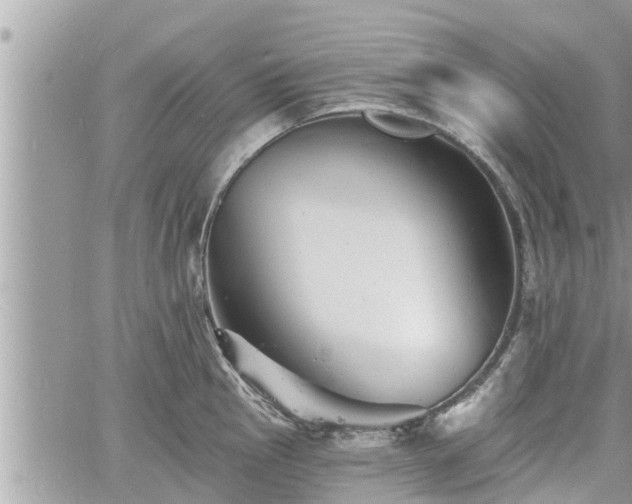 X0000060741145200511171050