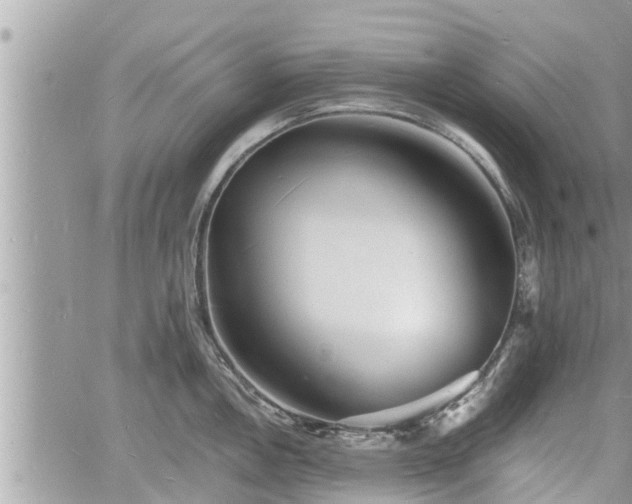 X0000060741146200511171051