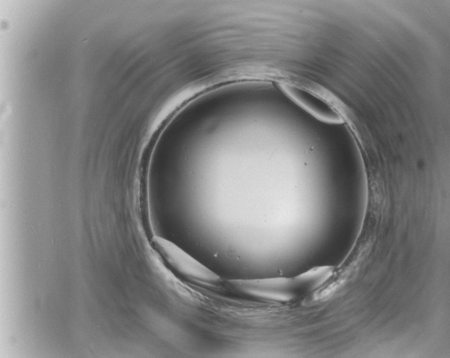 X0000060741147200511171051