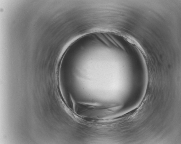 X0000060741148200511171051