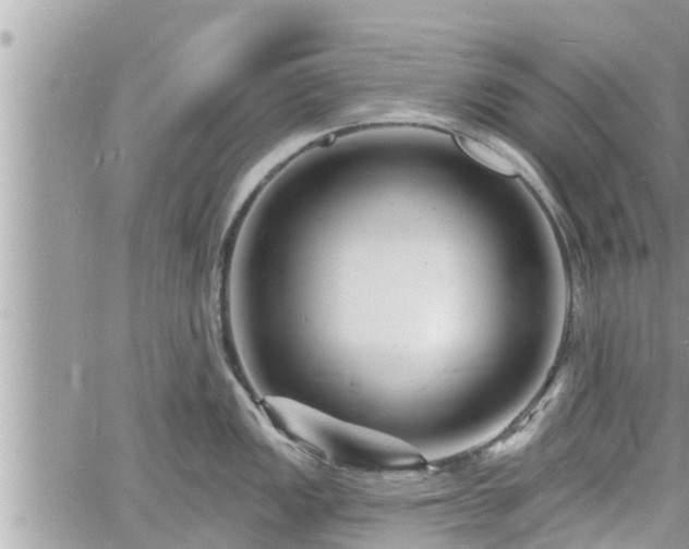 X0000060741149200511171051