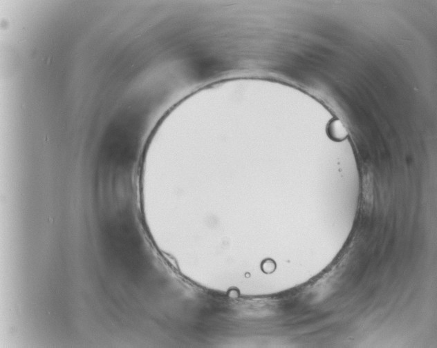 X0000060741150200511171051