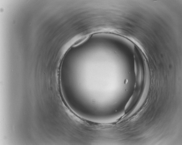 X0000060741151200511171051