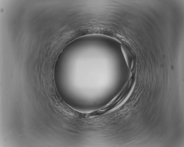 X0000060741153200511171050