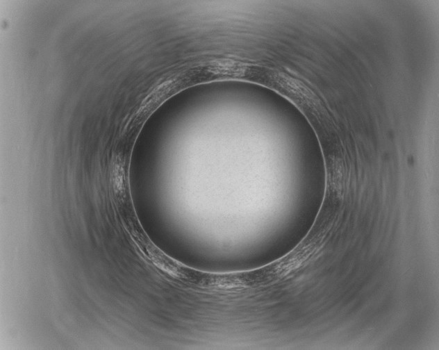 X0000060741154200511171050