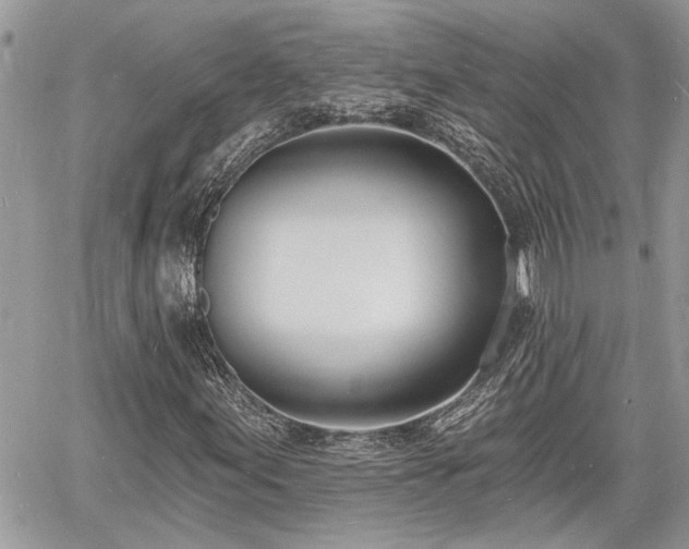 X0000060741155200511171050