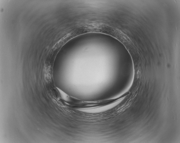 X0000060741156200511171050