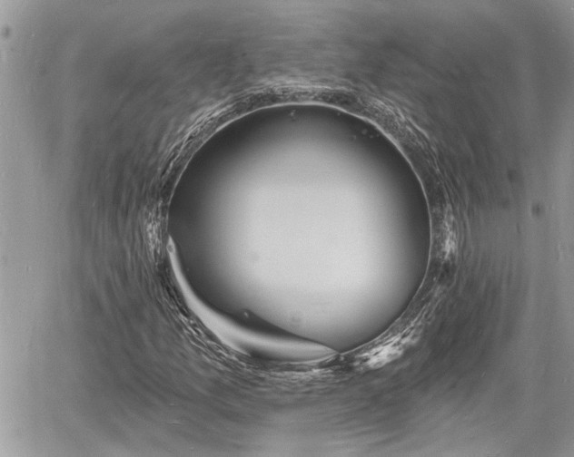 X0000060741157200511171050