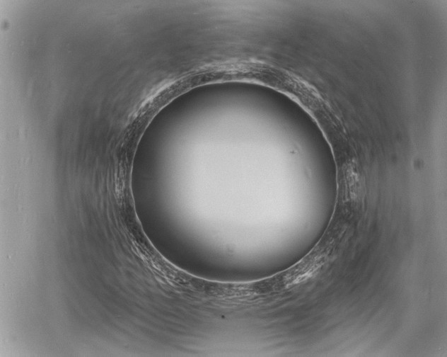 X0000060741158200511171050