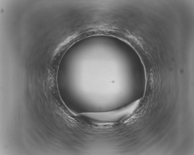 X0000060741159200511171050