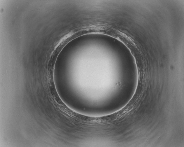 X0000060741160200511171050