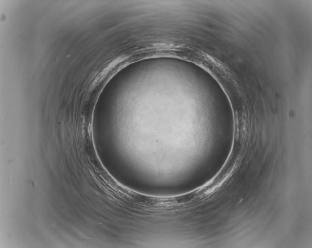 X0000060741161200511171050