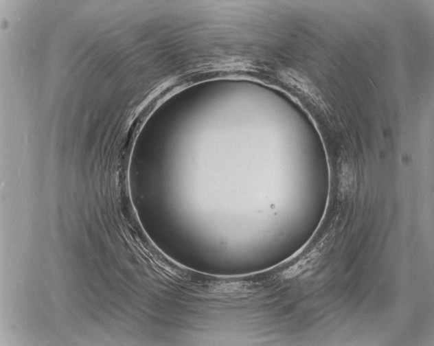 X0000060741162200511171050