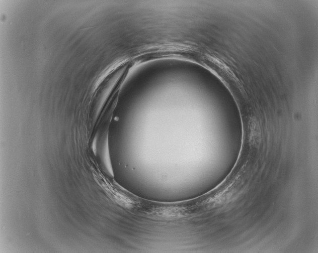 X0000060741163200511171050