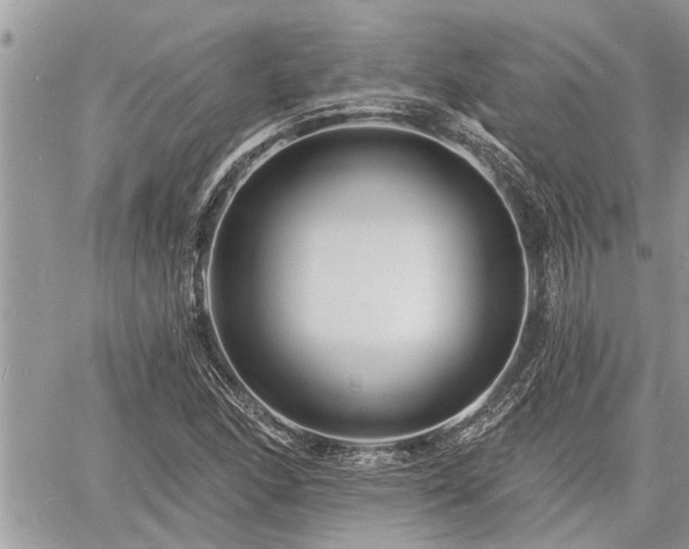 X0000060741166200511171050