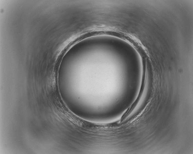 X0000060741167200511171050