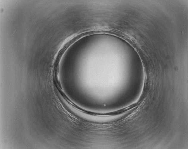 X0000060741168200511171050