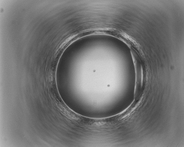 X0000060741169200511171050