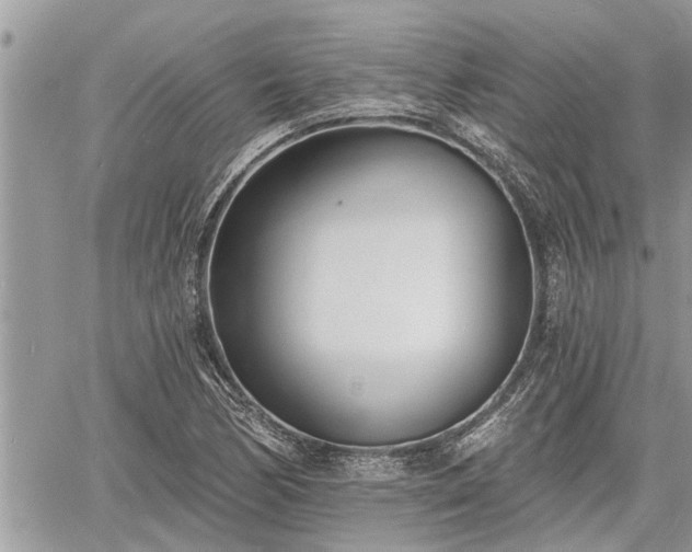 X0000060741170200511171050