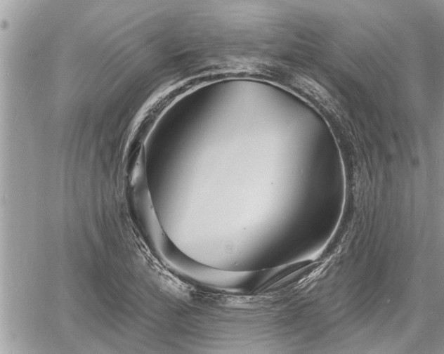 X0000060741172200511171050