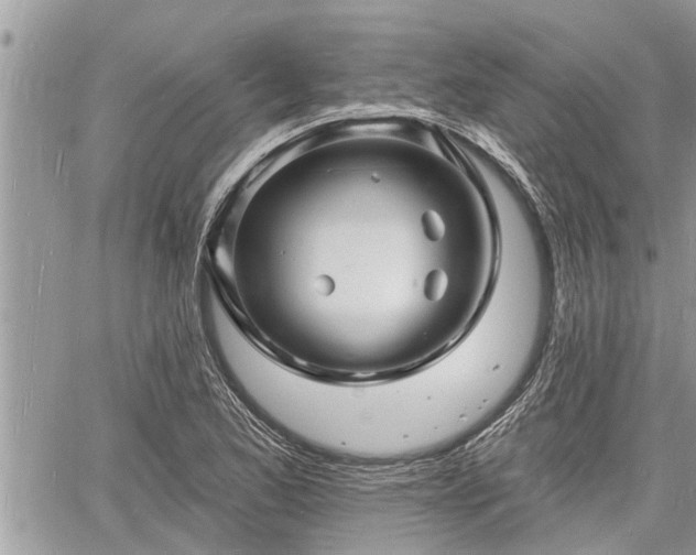 X0000060741173200511171049