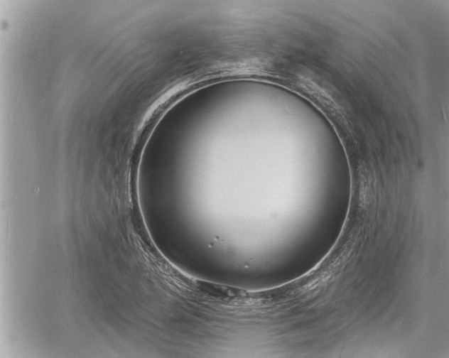 X0000060741174200511171049