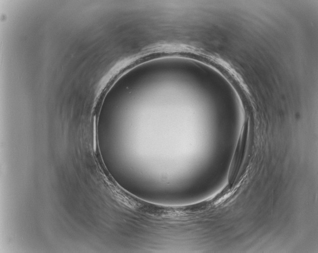 X0000060741175200511171049