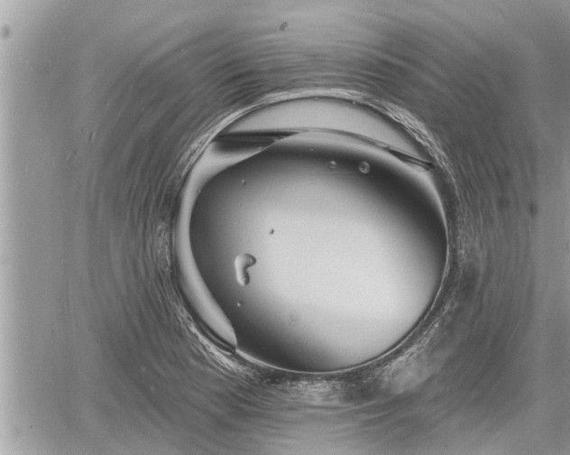 X0000060741177200511171049