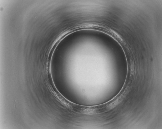 X0000060741178200511171049