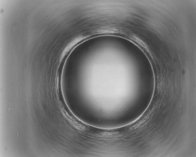 X0000060741179200511171049