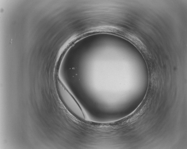 X0000060741180200511171049