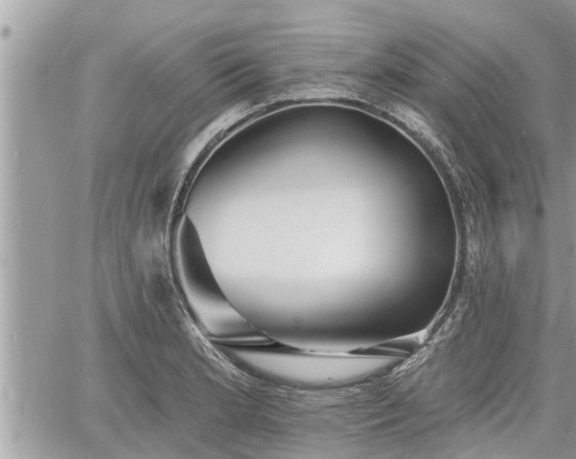 X0000060741181200511171049