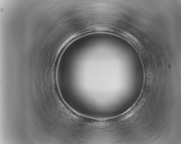 X0000060741182200511171049