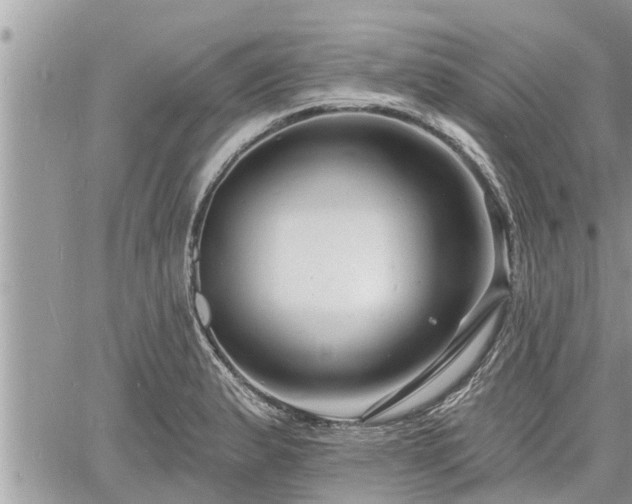 X0000060741183200511171049