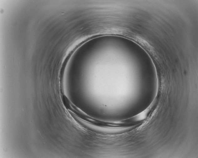 X0000060741184200511171049