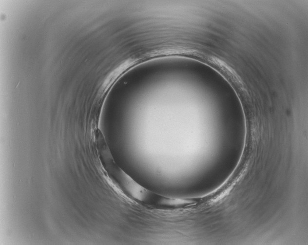 X0000060741185200511171049